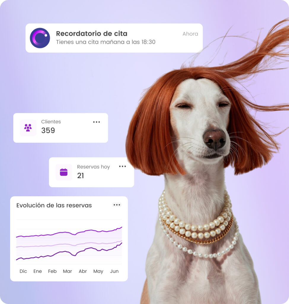 Perro elegante con peluca roja y collares, gráfico de reservas y recordatorio de cita a las 18:30.
